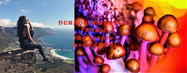кокс Армянск