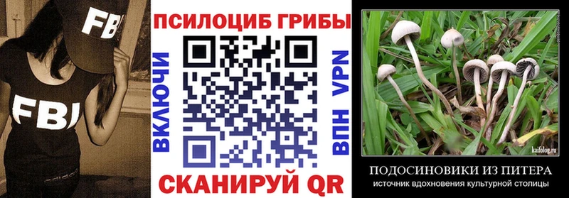 Галлюциногенные грибы ЛСД blacksprut онион Сертолово