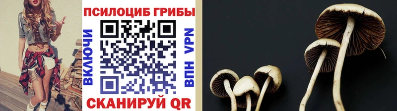 Псилоцибиновые грибы прущие грибы Сертолово